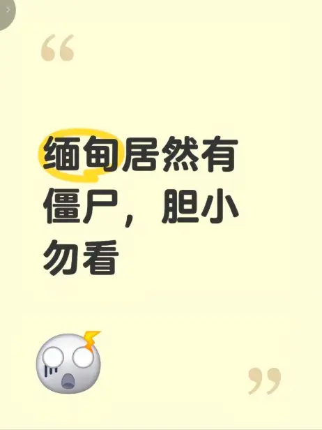 《缅甸僵尸出土事件》高清完整版在线免费播放 - 揭秘缅北神秘事件真相 现场全程录像揭秘缅甸僵尸出土事件