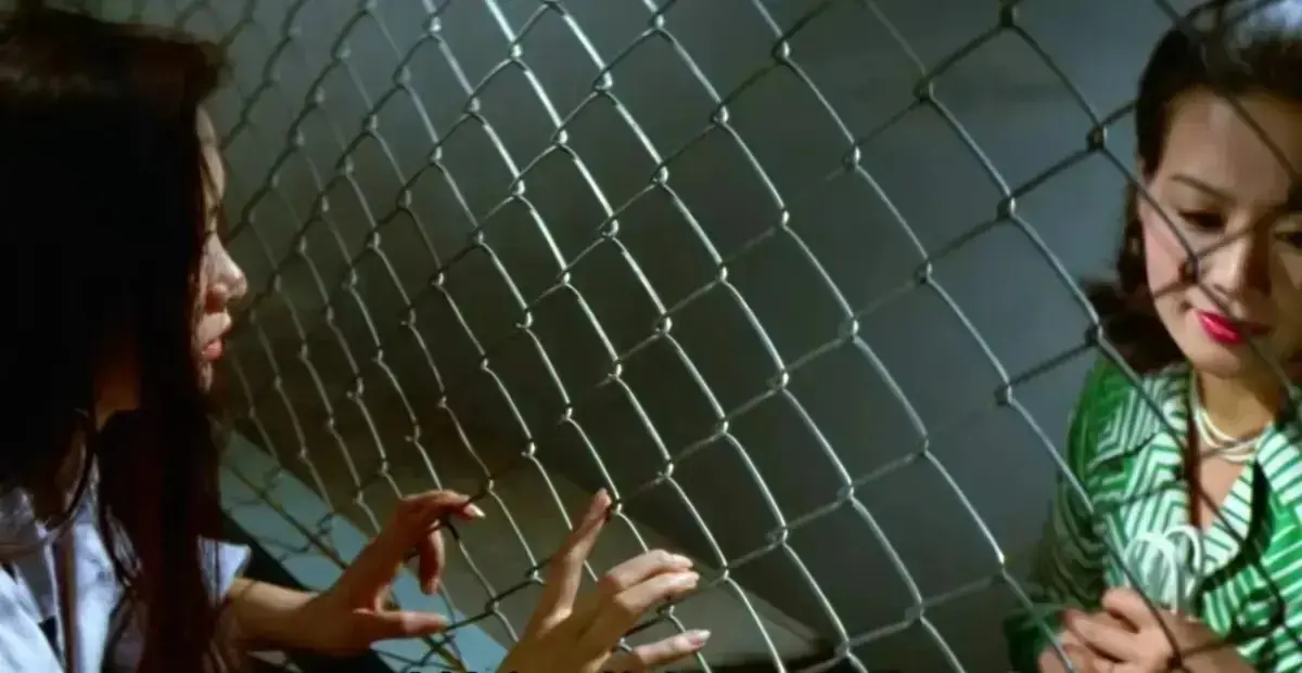 《芦苇地狱》HD高清完整版在线播放-经典禁映《芦苇地狱》女子监狱实录母女受难-迅雷夸克网盘资源合集