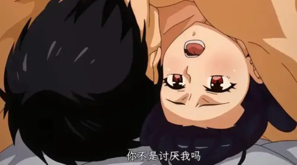 《虽然不是自己的菜，与讨厌姐姐的超契合》全12集1080P高清完整版