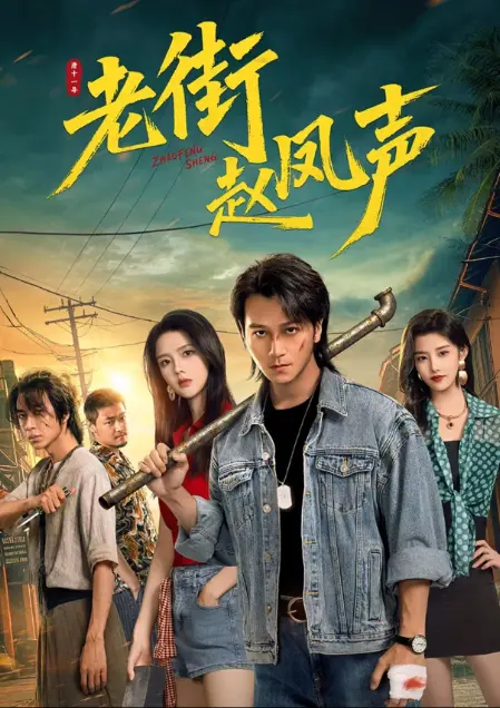《老街赵凤声》1080P超清在线观看-无删减全集免费播放-老街痞子归来凭拳头护街坊-这部网剧越看越上头