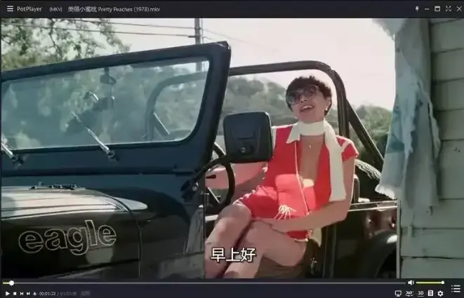 《美丽小蜜桃》未删减版高清播放-美国1978年喜剧电影完整版中字-《美丽小蜜桃》免费在线观看资源