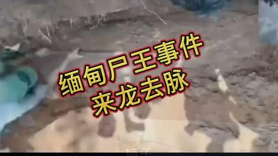 在线观看《缅甸僵尸出土事件视频》完整版资源下载免费播放 - 缅北僵尸出土事件始末原视频高清未删减全程录像